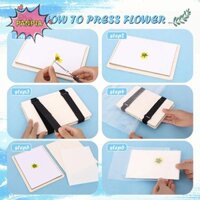 Pnpia Lá Bấm Bộ DIY Báo Chí Hoa Máy Dụng Cụ Thiên Nhiên Khô Sách Bảo Quản Sấy DIY Bảo Quản Hoa Thủ Công Boutique