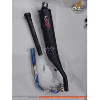 Pô King drag winner cổ xanh titan