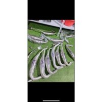 Pô tăng các loại kips,NSR,NSP,RXZ,Xipo,yaz….