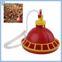 Pop Cho Bé Ăn Gà Cho Gia Cầm Nhựa Gà Con Ăn Cho Nhiều Gà Con Cùng Một Lúc Dễ Dàng Vệ Sinh Thiết Thực Cao Cho