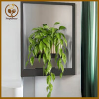 Popubear Giá đỡ cây chắc chắn Giá đỡ cây trồng trong nhà đa năng Giá đỡ cây treo tường bằng kim loại hiện đại để trang trí gia đình và văn phòng Khung sắt sành điệu cho màn hình thực vật trong nhà
