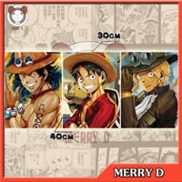 POSTER ĐỘNG 3 TRONG 1 3D 40x30cm ONEPICE ASL ACE, LUFFY, SABO - THAY ĐỔI GÓC NHÌN - BIẾN HÌNH -