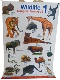 POSTER Lớn - Động Vật Hoang Dã 1