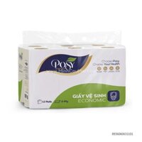 Posy giấy vệ sinh xanh 2 lớp 12c