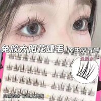 Preferred#[30Hot Sale1191Pieces]Glue-Free Self-Adhesive SUNFLOWER Eyelashes False Eyelashes Barbie Super Soft Eyelashes No Need Glue Lazy Natural Simulation Eyelashes WY12