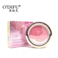 Preferred#Audi Good Complexion Rose Red Blush Nude Makeup Natural Brightening Contour Highlighter Rouge Sunburn Vitality for Women WY12