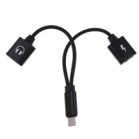 Protable Double Jack Headphone Audio Charging Adapter For IPhone - Black