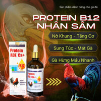 Protein B12 (2 chai 100ml) giúp gà tăng bo, nở khung, sung túc, mát gà và nhanh hừng nước máu