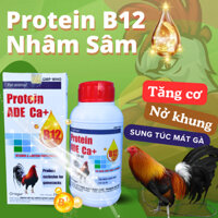 Protein b12 250ml chiết suất nhân sâm giúp gà tăng bo, nở khung sung túc mát gà - Giá tốt - Giao nhanh