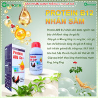 Protein b12 chiết suất nhân sâm 250ml giúp tăng bo, nở khung sung túc mát gà