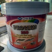 PROTEIN    (xô 4kg)