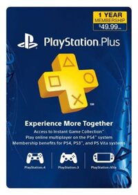 PSN PLUS (1YEAR) Us