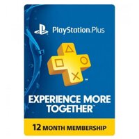 PSN Plus Hệ US 12 Tháng