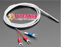 PT100 Cảm Biến Nhiệt Độ TypeB Dài 2m
