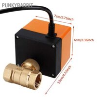 PunkyRabbit Van bi động cơ điện bằng đồng thau AC 220V 2 chiều 3 dây 1.6Mpa Chủ đề DN15 DN25