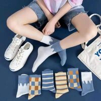 Pvn35506 set 5 đôi tất cổ cao nữ hàn quốc dễ thương