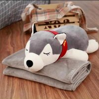 Pvn36999 gối mền chó husky 2 trong 1, nỉ nhung cực mịn, bộ chăn gối văn phòng, gấu bông khăn quàng đỏ  kèm mền t2