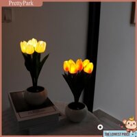✿Py✿ Đèn LED Tulip Đầu Giường Để Bàn Sạc USB Mô Phỏng Đèn Đọc Sách Hoa Chậu Hoa Có Thể Điều Chỉnh Độ Sáng An Toàn Tiết Kiệm Năng Lượng Cho Đồ Trang Trí Nhà Cửa