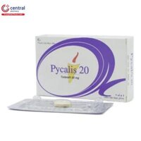 Pycalis 20
