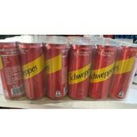 [Q2 HCM] Dry Ginger Ale soda gừng 330ml x 24 lon