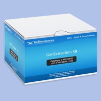 QAZI™Gel Extraction Kit 50Prep, P02-NIK02-50