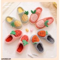 QC71 DÉP LÔNG ĐI TRONG NHÀ