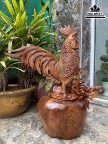 Gọng kính Vigcom VG1721