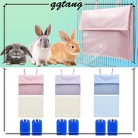 Qq * Làm Mát Băng Gói Tay Cho Thú Cưng Nhỏ Chuột Lang Thỏ Lồng Thoải Mái