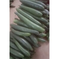 Quả bí đao tươi ngon-5kg