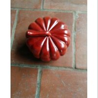 Quả  bí  đựng  hạt  dưa bánh  kẹo loại  nhỡ