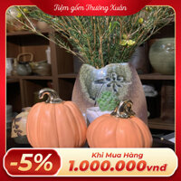 Quả bí ngô Decor