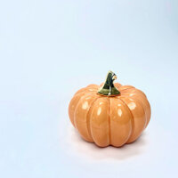 QUẢ BÍ NGÔ VÀNG CAM LOẠI THẤP TRANG TRÍ