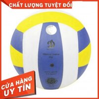 Quả bóng chuyền Động Lực Power DL210M3