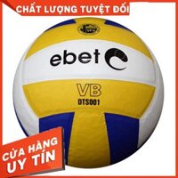 Quả bóng chuyền Động Lực DTS001