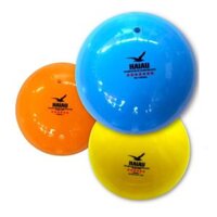 Quả Bóng Chuyền Hơi Hải Âu – Bảng Báo Giá Tổng Hợp