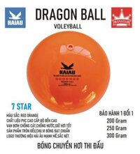 Quả Bóng Chuyền Hơi Hải Âu Arena Ball Màu Cam