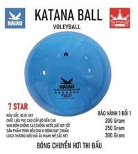 Quả Bóng Chuyền Hơi Hải Âu Arena Ball Màu Xanh