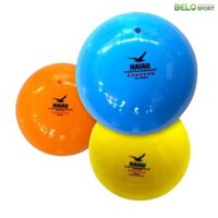 Quả Bóng Chuyền Hơi Hải Âu Arena Ball
