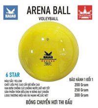 Quả Bóng Chuyền Hơi Hải Âu Arena Ball Màu Vàng