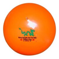 Quả Bóng Chuyền Hơi Thăng Long Dragon 250G
