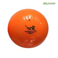 Quả Bóng Chuyền Hơi Thăng Long 200G Vàng