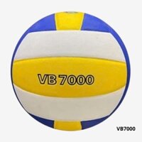 Quả bóng chuyền Thăng Long VB7000