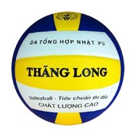 Quả bóng chuyền thi đấu da Nhật VB7400 tặng kèm lưới đựng bóng  kim bơm bóng - màu trắng pha vàng - Size 5