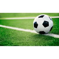 quả bóng đen trắng size 3