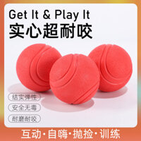 Quả bóng đồ chơi cho chó bền, có thể nhai, cho chó con Golden Retriever, Teddy, tự giải trí, quả bóng cao su rắn, huấn luyện thú cưng