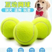 Quả bóng đồ chơi cho chó, vật phẩm tự giải trí cho thú cưng, Border Collie, Golden Retriever, Corgi, quả bóng nhai bền, huấn luyện răng, cao su rắn