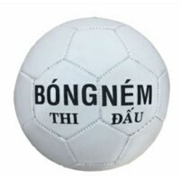 quả bóng ném tiêu chuẩn thi đấu