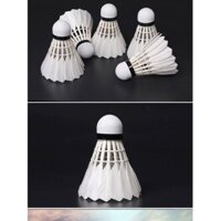 Quả cầu lông 303 (12trái/ống)