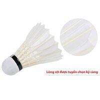 Quả cầu lông Hải Yến loại bạc hộp 12 quả HB12