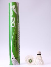 Quả Cầu Lông Nhựa Feihang XD20 (12 Quả)